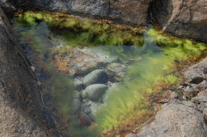 Green Rockpool