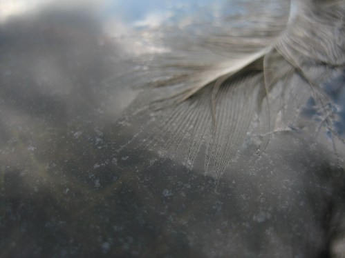 Holiday image-HeidiMaeNiska_8799_1240