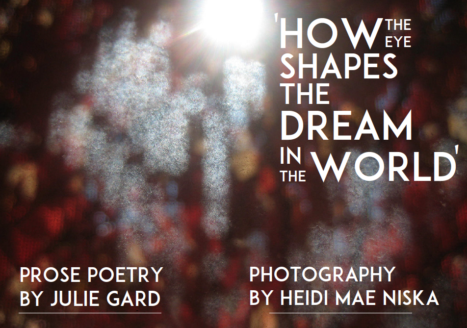 The Dream In The World Cover